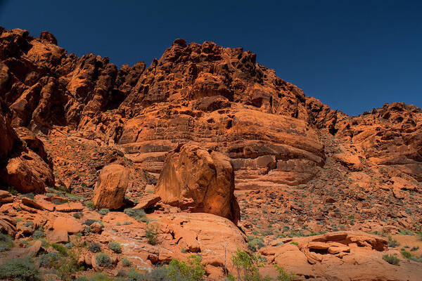 Landscape Art Print featuring the photograph Martian Landscape Valley Of Fire by Frank Wilson