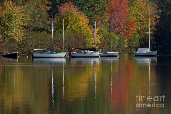 Lake Art Print featuring the photograph Mascoma reflection by Butch Lombardi