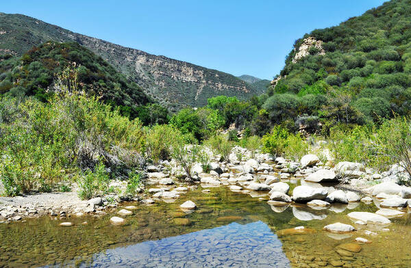 Matilija Hot Springs Art Print featuring the photograph Matilija Hot Springs by Kyle Hanson