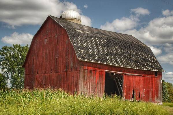 Barn Art Print featuring the photograph 0023 - Hollenbeck Road Red III by Sheryl L Sutter