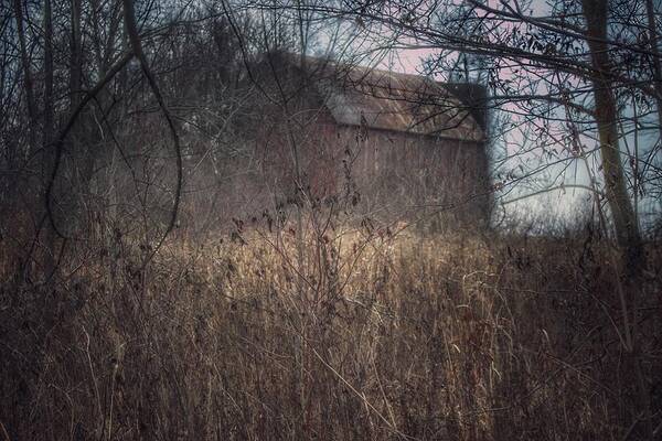 Barn Art Print featuring the photograph 0025 - Mayville's Hidden Barn I by Sheryl L Sutter