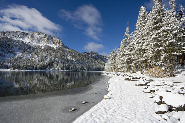 Snow Art Print featuring the photograph McLeod Lake by Kelley King