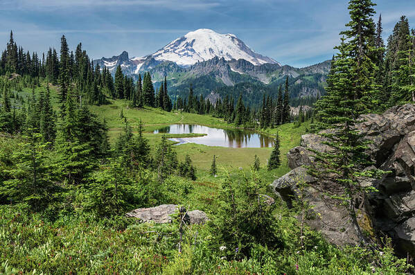 Mt Rainier Art Print featuring the photograph Meadow View by Harold Coleman