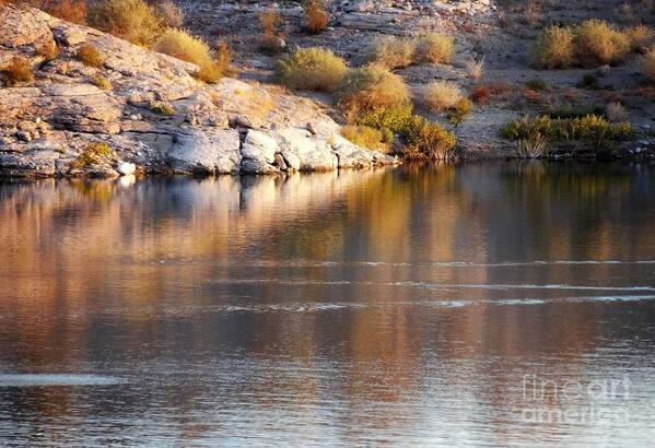 Lake Mead Nv. Nevada Art Print featuring the photograph Meads fascination by Barbara Leigh Art