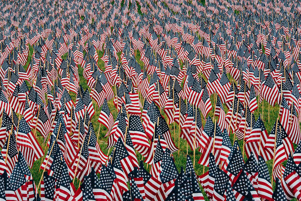 May Art Print featuring the photograph Memorial Day by Mountain Dreams