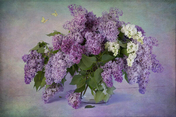 Lilac Art Print featuring the photograph Memories of my grandmother by Marina Kojukhova