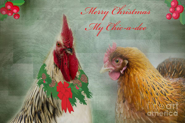Chickens Art Print featuring the photograph Merry Christmas My Chic-a-dee by Donna Brown