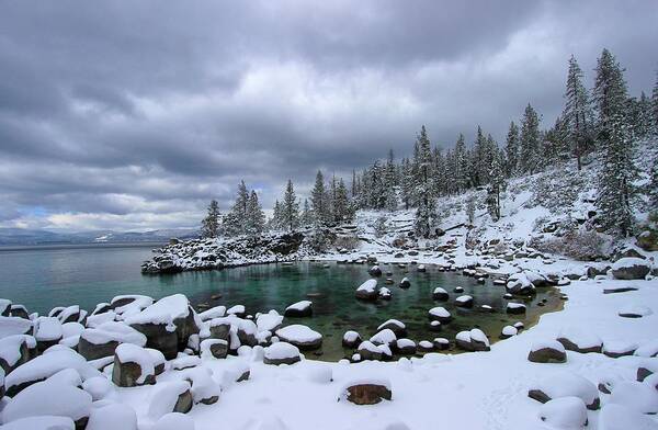 Lake Tahoe Art Print featuring the photograph Merry Christmas by Sean Sarsfield
