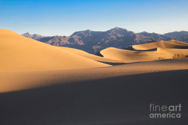 Mesquite Dunes Art Print featuring the photograph Mesquite Dunes At Dawn by Suzanne Luft