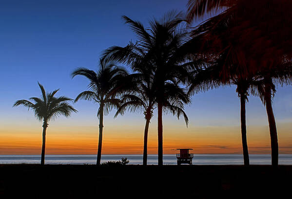 #southbeach #miamibeach #sunrise #miamiphotographer #stevelipsonphotography #streetart #ocean #clouds #goldcoast #zazzle #photo #togs #southflorida #lifestyle #advertisingagency #creative #seascape #landscape #outdoors #palmtrees Art Print featuring the photograph Miami Beach 3003 by Steve Lipson