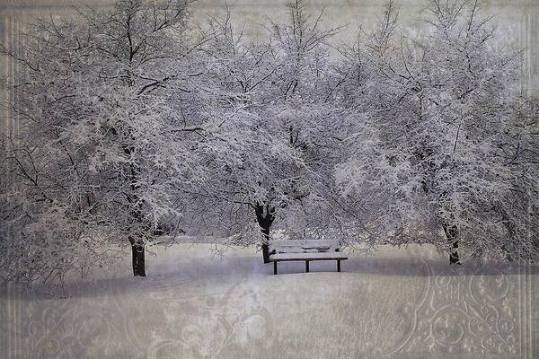 Hovind Art Print featuring the photograph Michigan Winter 4 by Scott Hovind