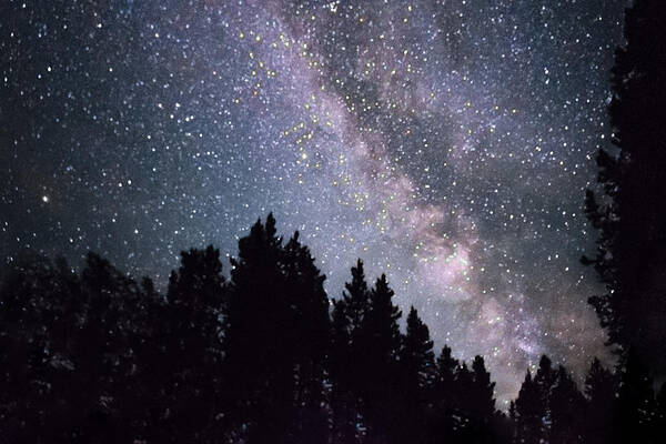 Dakota Art Print featuring the photograph Milky Way Above the Bighorns by Greni Graph