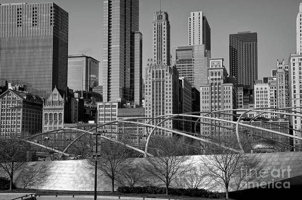 Park Art Print featuring the photograph Millennium Park V visit www.AngeliniPhoto.com for more by Mary Angelini