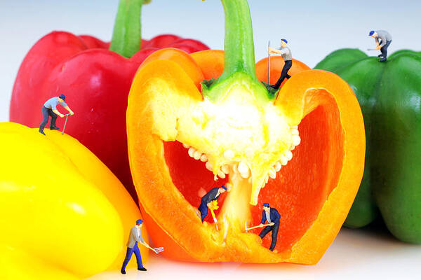 Pop Art Print featuring the photograph Mining in colorful peppers by Paul Ge