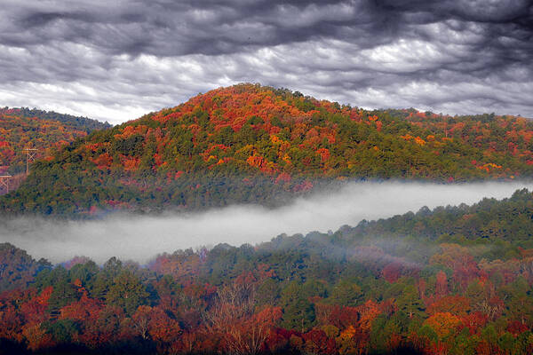  Trees Art Print featuring the photograph Misty Hills by Carolyn Fletcher