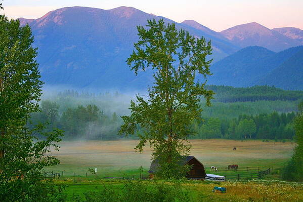 Montana Art Print featuring the photograph Misty Montana Evening by Patricia Haynes