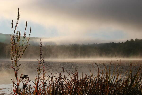 Misty Morning Art Print featuring the photograph Misty Morning by Linda Russell
