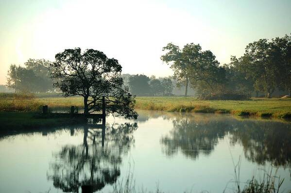 Alabama Photographer Art Print featuring the digital art Misty Morning Pond by Michael Thomas