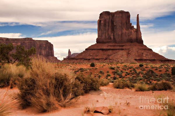 Arizona Art Print featuring the photograph Mitten View by Lana Trussell