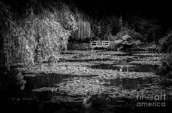 Black And White Art Print featuring the photograph Monet's Waterlily Pond, Giverny, France, Blk Wht by Liesl Walsh
