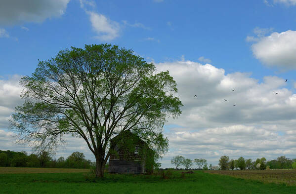 Monmouth Battlefield Art Print featuring the photograph Monmouth Battlefield by Steven Richman