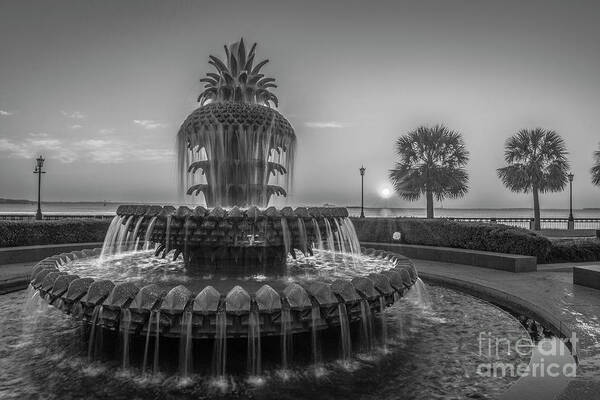 Pineapple Fountain Art Print featuring the photograph Monochrome Pineapple by Dale Powell