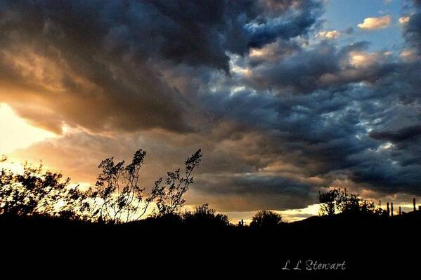  Art Print featuring the photograph Monsoon Sunset by L L Stewart