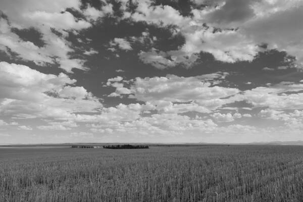 Agriculture Art Print featuring the photograph Montana, Big Sky Country by Scott Slone