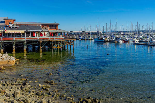 Monterey Art Print featuring the photograph Monterey Harbor Morning by Derek Dean