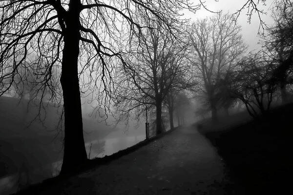 Pre-dawn Art Print featuring the photograph Moody and Misty Morning by Inge Riis McDonald
