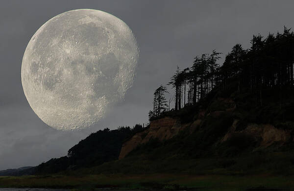 Landscape Art Print featuring the photograph Moon at Roosevelt Beach WA by Bob Cournoyer