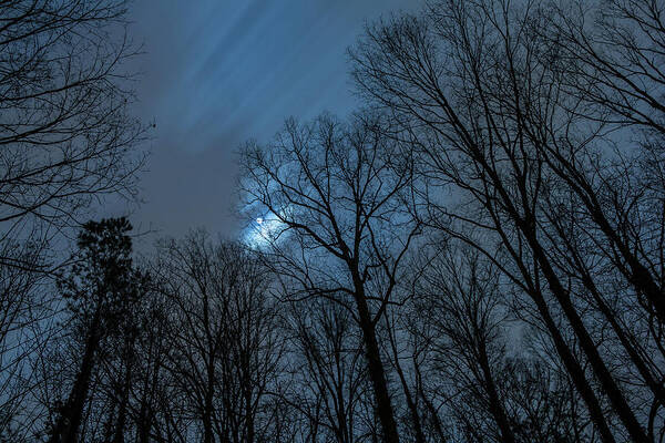 Backyard Art Print featuring the photograph Moonlit Sky by Rod Kaye