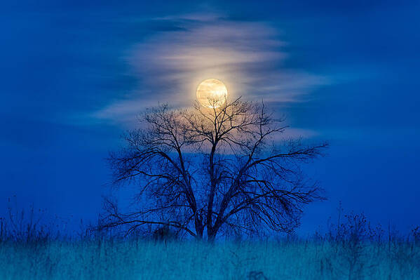 Moon Art Print featuring the photograph Moonrise by David Soldano