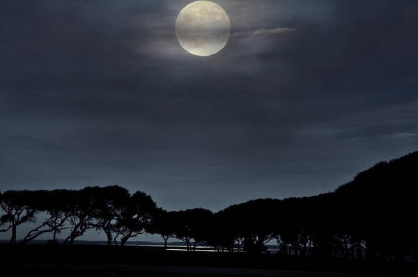 Sea Art Print featuring the photograph Moonrise over the Marsh. by WAZgriffin Digital