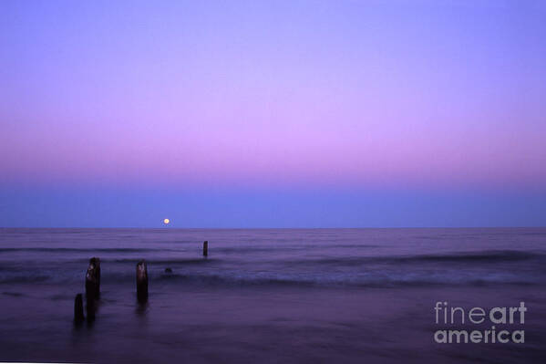 Moon Art Print featuring the photograph Moonrise by Timothy Johnson