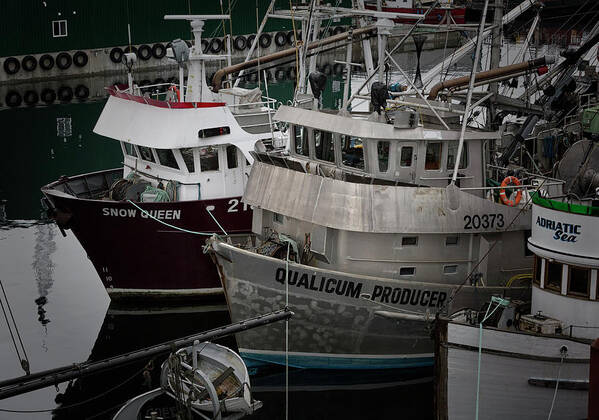 Discovery Harbour Art Print featuring the photograph Moored by Randy Hall