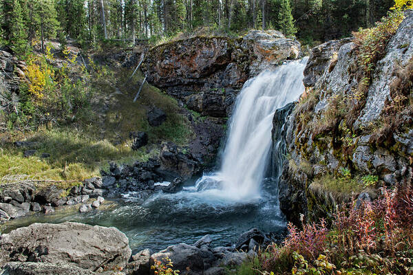 Yellowstone Art Print featuring the photograph Moose Falls by Scott Read