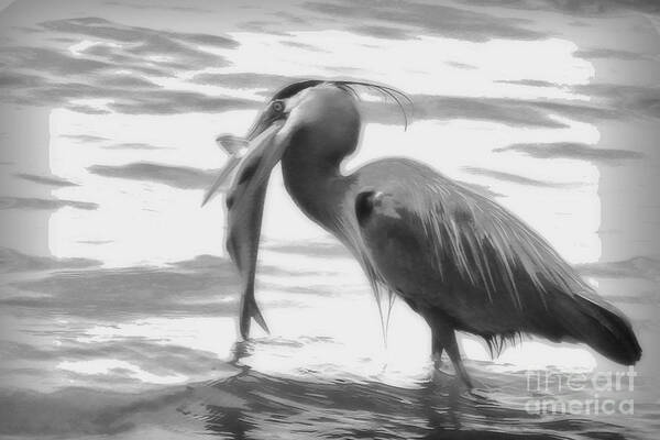 Great Blue Heron Art Print featuring the photograph More Than a Mouthful by Ola Allen