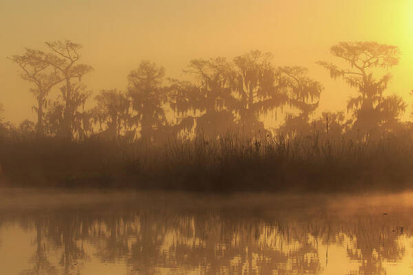 Florida Art Print featuring the photograph Morning Glow by Stefan Mazzola