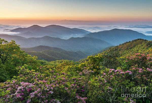 Blue Ridge Art Print featuring the photograph Morning Layers by Anthony Heflin