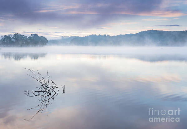 Aberfoyle Art Print featuring the photograph Morning Mist Loch Ard by Janet Burdon