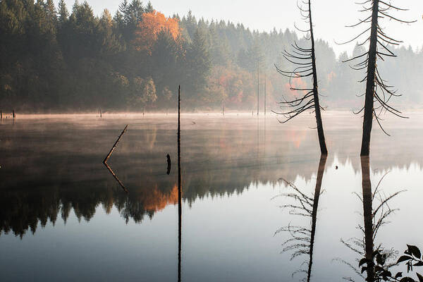 Landscapes Art Print featuring the photograph Morning Mist On A Quiet Lake by Claude Dalley