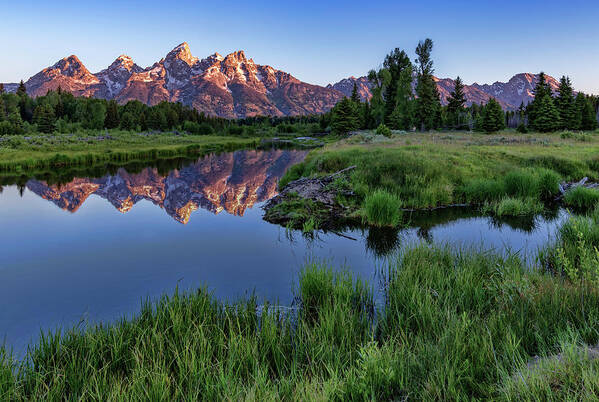 Tetons Art Print featuring the photograph Morning Reflection by Harold Coleman