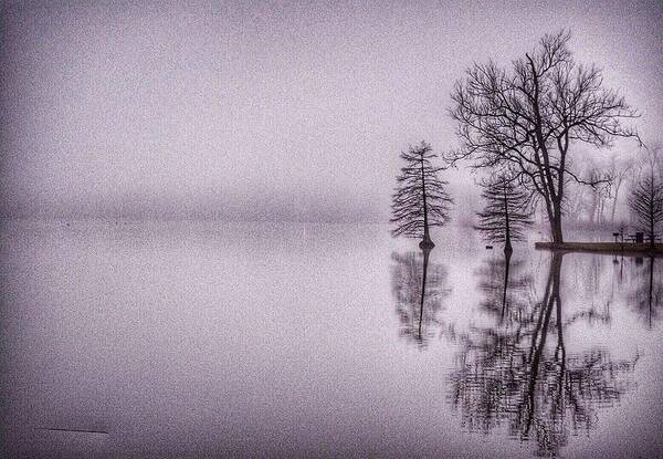 Lake Art Print featuring the photograph Morning Reflections by Sumoflam Photography