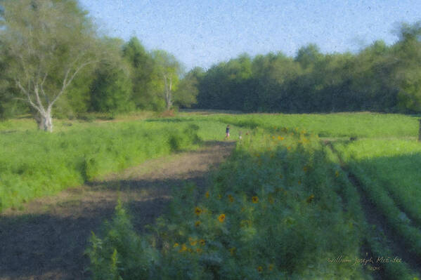 Langwater Farm Art Print featuring the painting Morning Walk at Langwater Farm by Bill McEntee