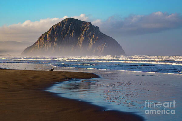 Morro Bay Art Print featuring the photograph Morro Rock and the Shoreline by Mimi Ditchie