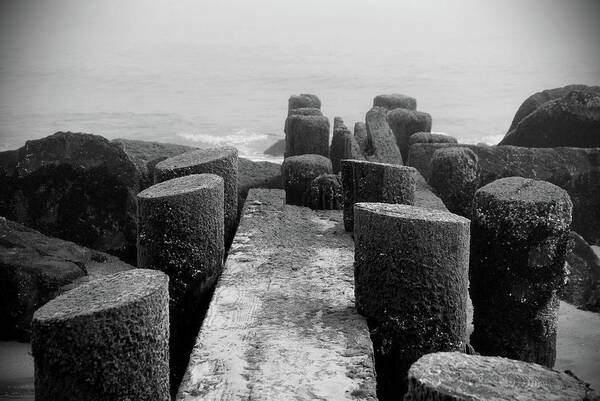 Jersey Shore Art Print featuring the photograph Mossy Jetty in Black and White - Jersey Shore by Angie Tirado