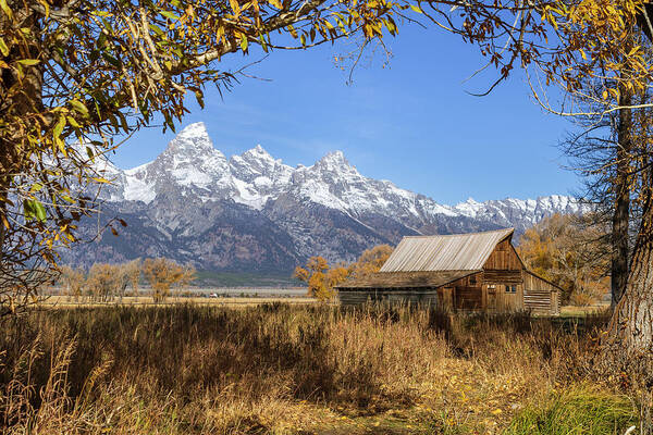 Building Art Print featuring the photograph Moulton Barn in Autumn by Catherine Avilez