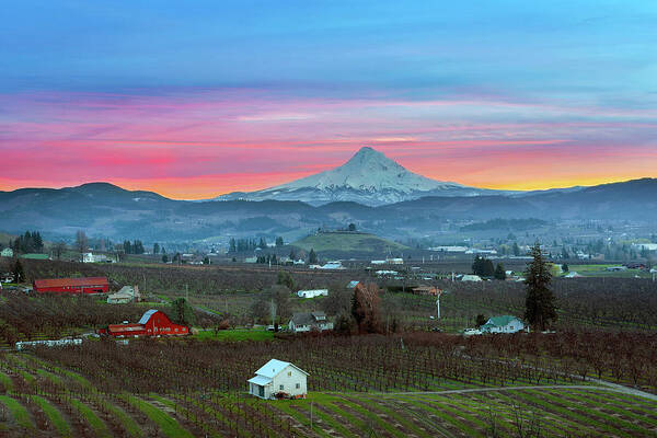 Mount Hood Art Print featuring the photograph Mount Hood over Hood River at Sunset by David Gn