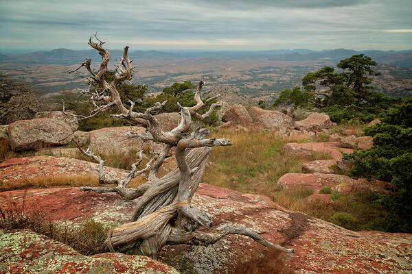 Mountain Art Print featuring the photograph Mount Scott View IV by Ricky Barnard